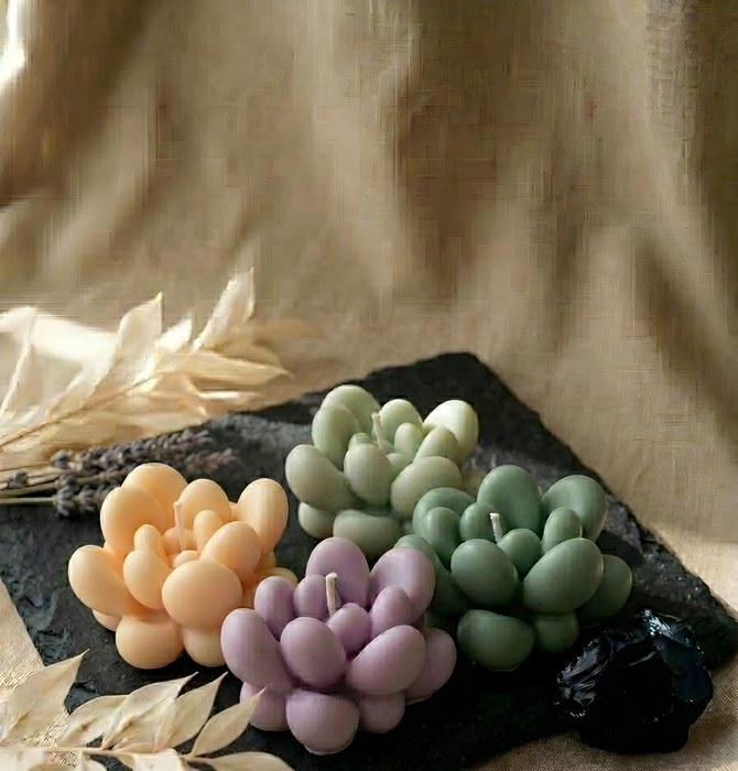 Suculenta Jade Carnosa - Lumier Genesis Collection